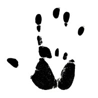 AC1A355B-DB76-4B4F-9941-712EC5B346F0